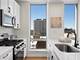1250 S Michigan Unit 1109, Chicago, IL 60605