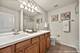 1045 Crane, Elgin, IL 60124