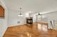 1045 Crane, Elgin, IL 60124