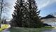 1162 S River, Des Plaines, IL 60016