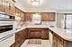 8463 W Castle Island, Chicago, IL 60656