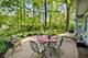 1025 Elizabeth, Naperville, IL 60540