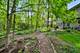 1025 Elizabeth, Naperville, IL 60540