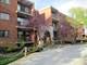197 W Armitage Unit 308, Elmhurst, IL 60126