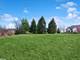 24548 N Blue Aster, Lake Barrington, IL 60010