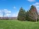 24548 N Blue Aster, Lake Barrington, IL 60010