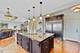 319 Royal Oak, Steger, IL 60475