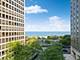 79 E Cedar, Chicago, IL 60611