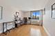 1221 N Dearborn Unit 1203S, Chicago, IL 60610