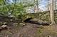 215 Prospect, Highland Park, IL 60035