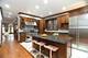 1745 W Cornelia, Chicago, IL 60657