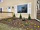 919 Dartmouth, Matteson, IL 60443