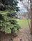 5545 S Wood, Chicago, IL 60636