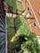 1333 N Burling Unit B, Chicago, IL 60610