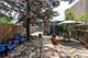2453 W Chicago Unit 3, Chicago, IL 60622