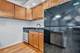 2310 S Canal Unit 212, Chicago, IL 60616
