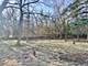 Lot 1 Abbey Woods, Barrington Hills, IL 60010