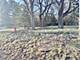 Lot 1 Abbey Woods, Barrington Hills, IL 60010