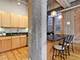 1735 N Paulina Unit 301, Chicago, IL 60622