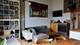 1934 N Washtenaw Unit 416, Chicago, IL 60647