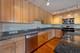 1935 S Archer Unit 515, Chicago, IL 60616