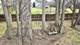 3707 Applewood, Rockford, IL 61114
