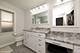 1131 S Hamlin, Park Ridge, IL 60068