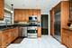 1131 S Hamlin, Park Ridge, IL 60068
