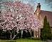 1215 Hickory, Waukegan, IL 60085