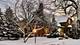 1215 Hickory, Waukegan, IL 60085