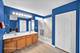14226 Carriage Station, Lockport, IL 60441