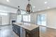 1114 N Webster, Naperville, IL 60563