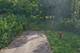 Lot 4 Whitehall, Lake Forest, IL 60045