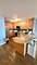 1935 S Archer Unit 323, Chicago, IL 60616