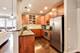 825 N Hudson Unit 3D, Chicago, IL 60610