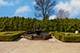 3015 Lincoln, Oak Brook, IL 60523