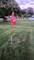 124 E Monterey, Schaumburg, IL 60193