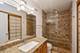 801 S Plymouth Unit P, Chicago, IL 60605