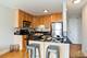450 W Briar Unit 7A, Chicago, IL 60657