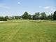 2817 Ninovan, Minooka, IL 60447
