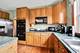 1581 Hunting Hound, Bartlett, IL 60103