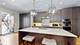 1630 W Warren Unit 1, Chicago, IL 60607