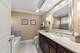 21519 W Chestnut, Plainfield, IL 60544