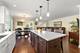 21519 W Chestnut, Plainfield, IL 60544
