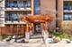 5950 Oakwood Unit 1D, Lisle, IL 60532