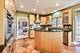 311 Felicia, Bloomingdale, IL 60108