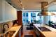 340 E Randolph Unit 1106, Chicago, IL 60601
