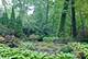 270 Ravine Forest, Lake Bluff, IL 60044