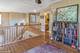 954 Tanager, Lombard, IL 60148