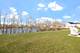 16202 S Lake View, Plainfield, IL 60586
